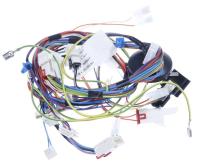 BEKO/GRUNDIG/ARCELIK Faisceaux de cables                                          C00869892