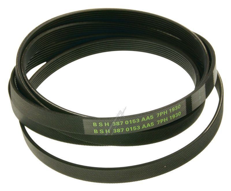 Boschsiemens Snaar                                                        00096426