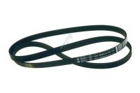Boschsiemens Snaar                                                        00745310