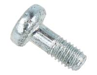 Boschsiemens Schroef                                                      00622834