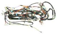 BEKO/GRUNDIG/ARCELIK Kabelboom                                                    C00898237