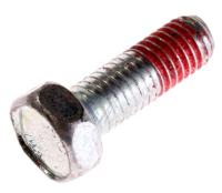 WHIRLPOOL/INDESIT Schroef                                                      482000079839