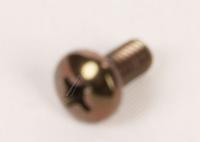 Amica Schroef                                                      8024366