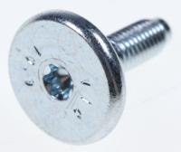 Boschsiemens Schroef                                                      10005677