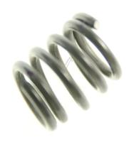 Philips Federn                                                       422224001921