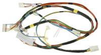 BEKO/GRUNDIG/ARCELIK Kabelboom                                                    C00881111