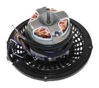 Candyhoover Motoren                                                      49039689