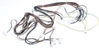 HISENSE/GORENJE Kabelboom                                                    909092