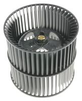 Boschsiemens Waaiers                                                      11012579