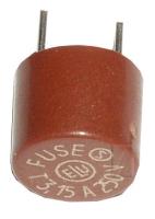 ESKA Zekering tr5 traag                                           887122