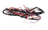 BEKO/GRUNDIG/ARCELIK Kabelboom                                                    C00904484