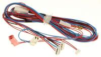 WHIRLPOOL/INDESIT Klemmen                                                      488000495802