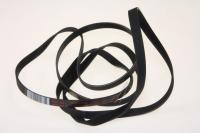 Boschsiemens Snaar                                                        00649054
