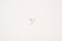 Motorola Stekers                                                      SCA8C29399