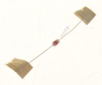 Panasonic Diodes                                                       B0AAEF000001
