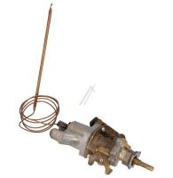 Amica Thermostats                                                  8017893