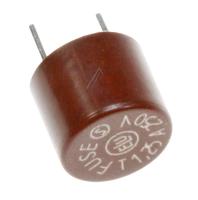 - Zekering tr5 traag                                           