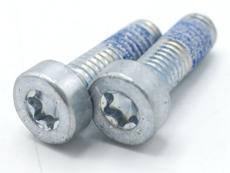 Boschsiemens Schroef                                                      00021947