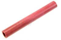 Astoria Schlauch                                                     500583549