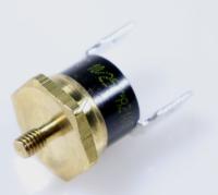 Saeco Thermostaten                                                 996530054612