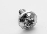 Boschsiemens Vis 00619298