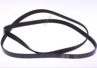 Haier Snaar                                                        49052532