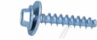 Boschsiemens Schroef                                                      00621467