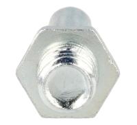 Amica Bolzen                                                       1036684