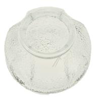 Boschsiemens Verres protection lampe                                      12027231