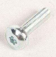 Boschsiemens Schroef                                                      10010339