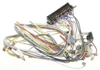 BEKO/GRUNDIG/ARCELIK Kabelboom                                                    C00916670