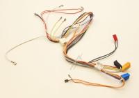 WHIRLPOOL/INDESIT Kabelboom                                                    488000634113