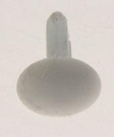 Haier Capuchons                                                    49054054