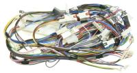 BEKO/GRUNDIG/ARCELIK Kabelboom                                                    C00898765