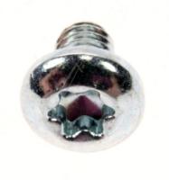 Boschsiemens Schroef                                                      00617227
