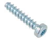 Amica Schroef                                                      8042349
