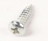 Amica Schroef                                                      1021554