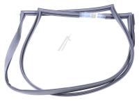 Haier Kühlschranktürdichtungen                                     49056493