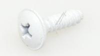 Boschsiemens Schroef                                                      00064496