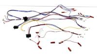 BEKO/GRUNDIG/ARCELIK Kabelboom                                                    C00916579