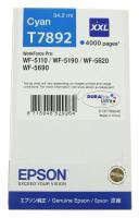Epson Inktpatronen C13T789240