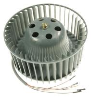 Cata Motoren                                                      15104017