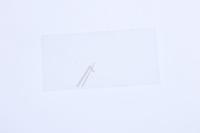 ELECTROLUX / AEG Caches lampe                                                 50280632006