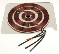 WHIRLPOOL/INDESIT Verwarmingen                                                 481010786895
