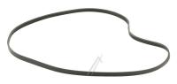 WHIRLPOOL/INDESIT Snaar                                                        488000056782