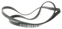 ELECTROLUX / AEG Snaar                                                        4055102125