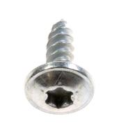 Boschsiemens Schroef                                                      00169283