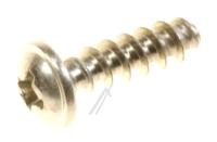 Vestel Schroef                                                      20827685