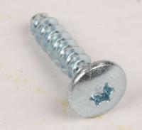 WHIRLPOOL/INDESIT Schroef                                                      488000858255