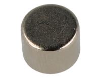 Amica Magneet                                                      8057593
